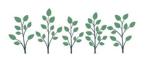 Flat design tree and leaf collection, perfect for botanical and nature-inspired projects. Green colored leaves vector