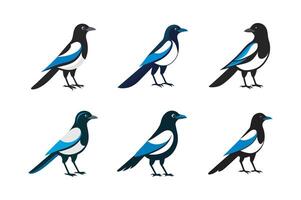 Magpie bird icon set illustration vector