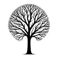 A black and white line drawing of a tree vector