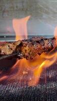 Grilled meat skewers on a grill video