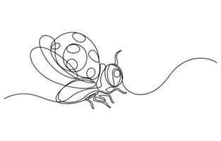 Ladybug continuous line vector