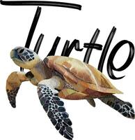 Hand drawn Turtle design for templates. vector