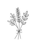 leaf drawing for design. vector