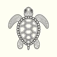 Snuggly Hexagonal Harmony Turtle Edition drawing .. vector