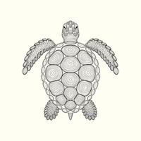 Lovely Hexagonal Harmony Turtle Edition drawing .. vector
