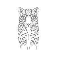 Winsome A drawing of a leopard with the word cheetah on it vector