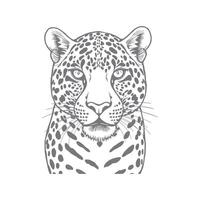 Perky A drawing of a leopard with the word cheetah on it vector