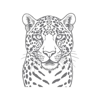 Perky A drawing of a leopard with the word cheetah on it