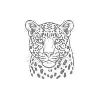 Fancy A drawing of a leopard with the word cheetah on it vector
