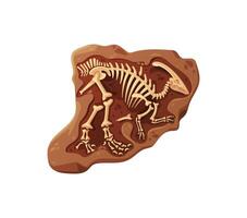Dino fossil skeleton bones, dinosaur structure vector