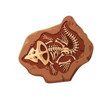 Dino fossil skeleton bones isolated dinosaur relic vector