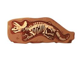 Dino fossil skeleton bones full skeletal structure vector
