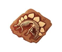 Dino fossil skeleton bones, dinosaur remains vector