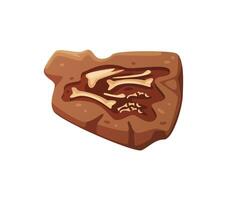 Dino fossil skeleton bones. Dinosaur parts, teeth vector