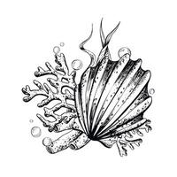 Sea shell, coral, sea sponge, algae, pebbles and bubbles. Hand drawn graphic illustration in black and white color line art. Sublimation arrangement on marine theme vector