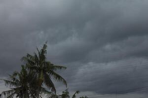 a cloudy sky photo