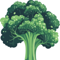 Fresh broccoli, a symbol of healthy eating icon isolated png