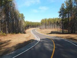 A road in the forest with a yellow line dividing the traffic. photo
