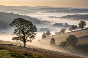 a misty morning in the hills with trees and fog photo