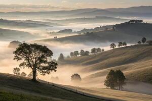 a tree stands on a hill overlooking a valley with fog photo