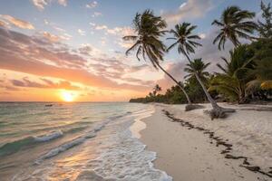 sunset on the beach in the caribbean photo