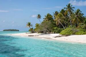 a tropical island with white sand and palm trees photo