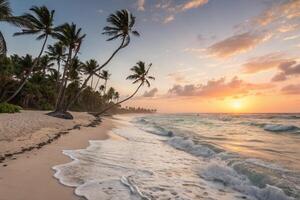 sunset on the beach in the tropical island of dominica photo