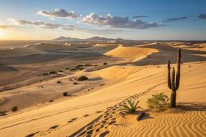 the desert is a place of beauty and mystery, but it's also a place of danger photo