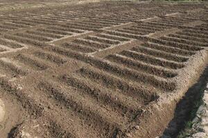 soil bed on field photo
