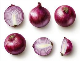 Six red onions are displayed in different cuts and angles, showing both whole and halved sections. The inner layers and textures are clearly visible against a white background. photo