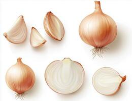 A set of onions isolated on a white background, showing whole onions, halves, and segments. photo