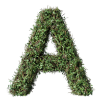 Alphabet 'A' in Abstract Style Isolated Against a Transparent Background for GRASSY Unique Typography Applications png