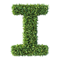 Alphabet 'I' in Abstract Style Isolated Against a Transparent Background for GRASSY Unique Typography Applications png