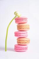 Stack of Colorful Macarons with Flower Accent. Photo aesthetics