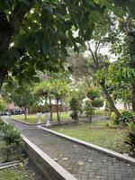 a park with a bench and a tree in the middle photo