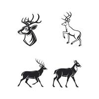 Exquisite Deer Graphics with Antlered Majesty vector
