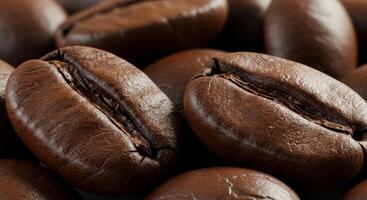 Coffee beans are shown in this photo