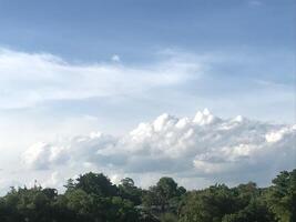View of the sky with clouds and trees photo