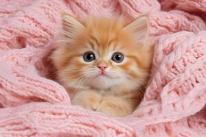 Cute ginger kitten nestled in soft pink blanket enjoying a cozy moment indoors with wide eyes and fluffy fur photo