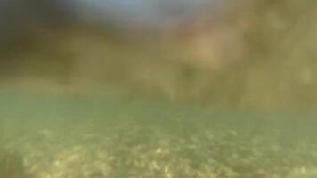 The water is clear and calm, with a few rocks visible in the foreground. The sky is blue and there is a distant mountain in the background video