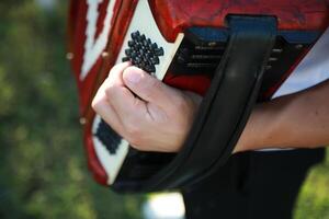 Hands Of A Professional Player On The Accordion Buttons photo