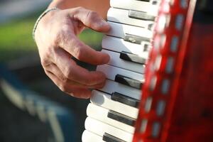 Hands On The Keyboard Of The Accordion photo