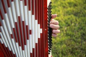 Hands Of A Professional Player On The Accordion Buttons photo