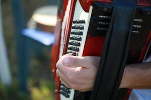 Hands On The Keyboard Of The Accordion photo
