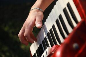 Hands On The Keyboard Of The Accordion photo