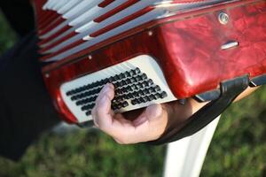 Hands Of A Professional Player On The Accordion Buttons photo