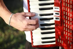 Hands On The Keyboard Of The Accordion photo