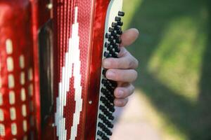 Hands Of A Professional Player On The Accordion Buttons photo