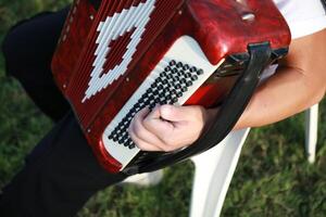 Hands Of A Professional Player On The Accordion Buttons photo