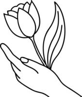 Elegant Hand Holding a Single Delicate Spring Tulip Flower vector